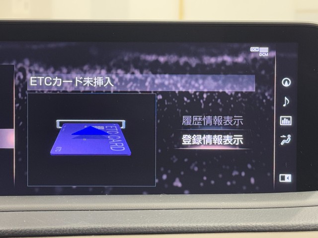 レクサス RX300 ブラックツアラー