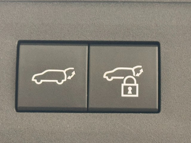 レクサス NX350h F SPORT