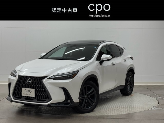 NX350h バージョンL