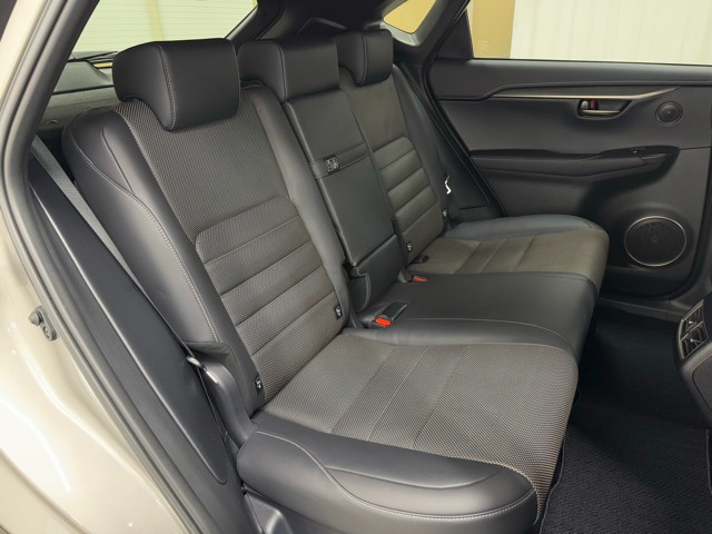 レクサス NX300h F SPORT