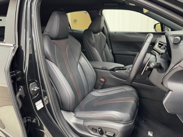 レクサス UX250h F SPORT