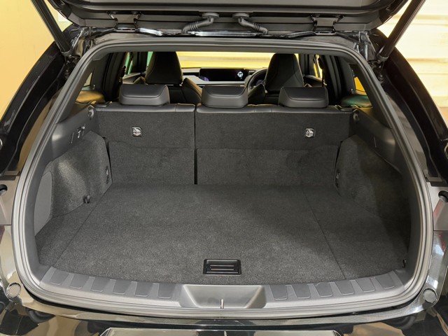 レクサス UX250h F SPORT