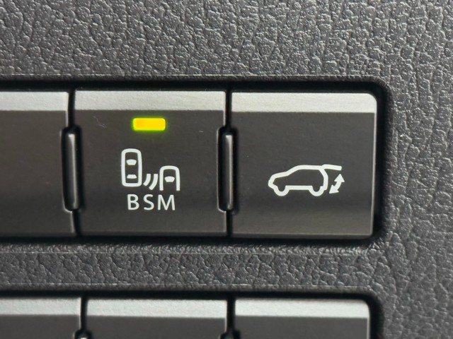 レクサス NX300 ブロンズエディション