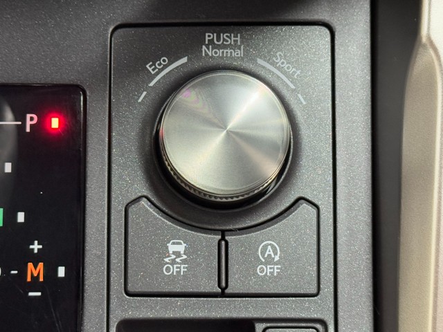 レクサス NX300 ブロンズエディション
