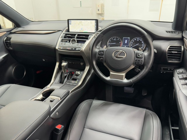 レクサス NX300 ブロンズエディション