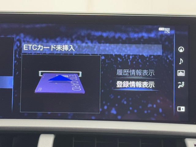 レクサス NX300 ブロンズエディション