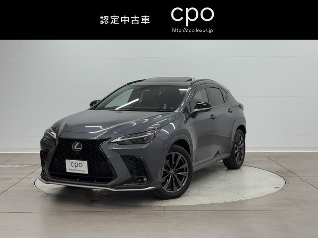NX350h FSPORT
