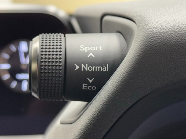 レクサス UX250h F SPORT