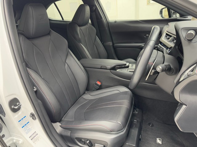 レクサス UX250h F SPORT