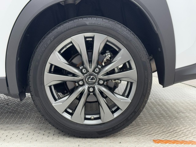 レクサス UX250h F SPORT