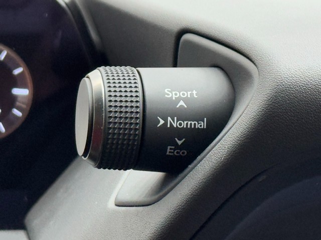 レクサス UX250h F SPORT