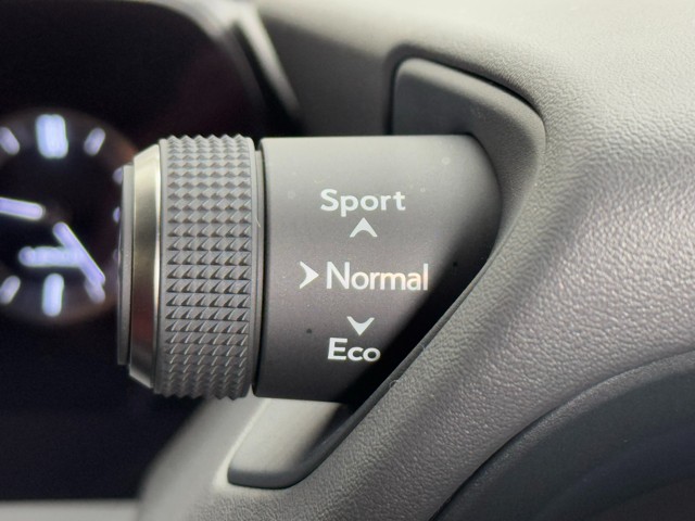 レクサス UX250h FSPORT