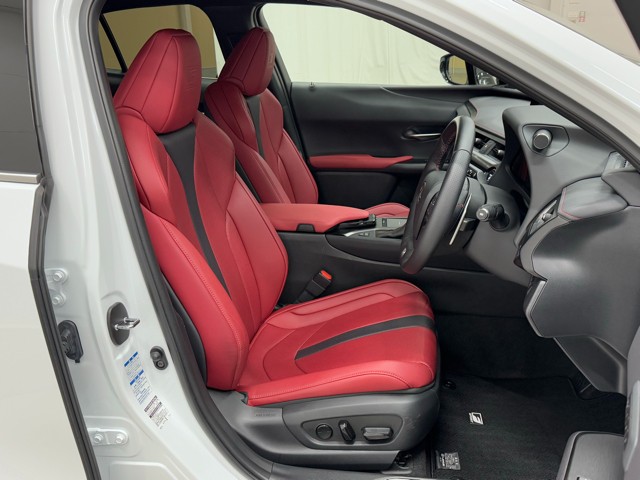 レクサス UX250h FSPORT