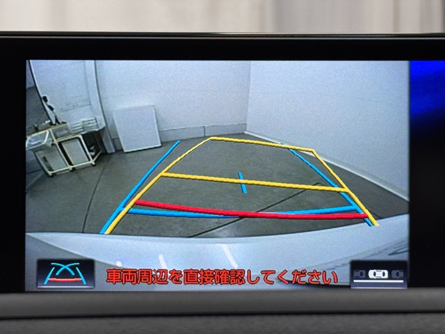 レクサス CT200h チェリッシュド TG