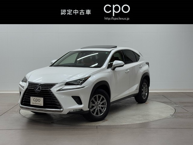 NX300h I-PKG