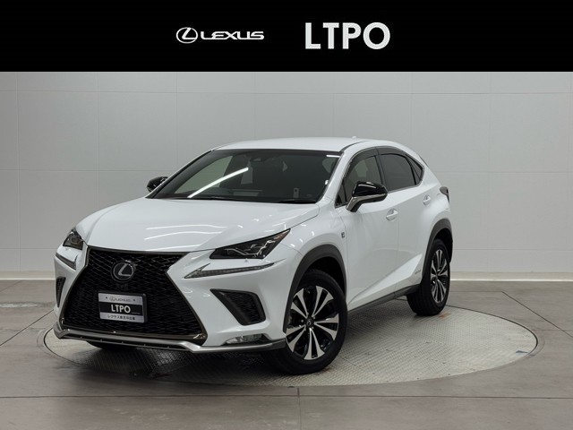 NX300h F SPORT