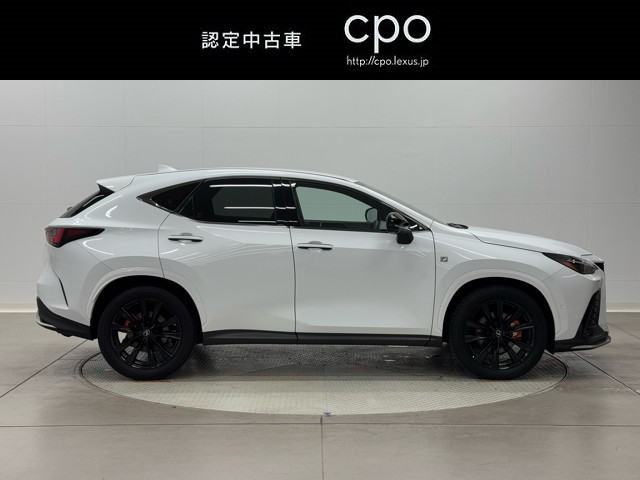 人気のホワイトノーヴァガラスフレーク。