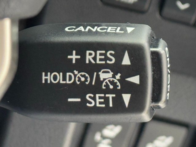 レクサス NX300h VER-L