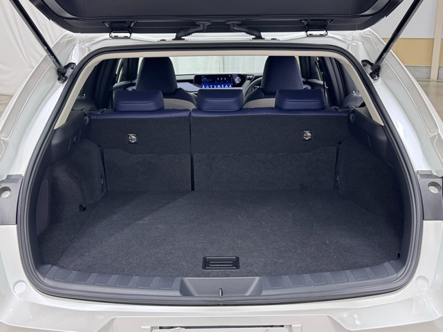 レクサス UX250h バージョンC