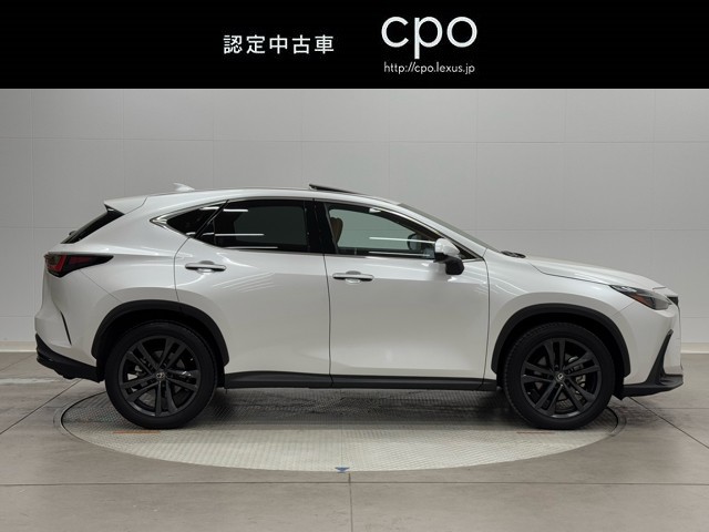 これもきれいなCPO