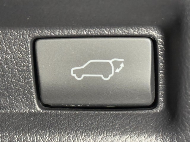 レクサス UX250h Fスポーツ