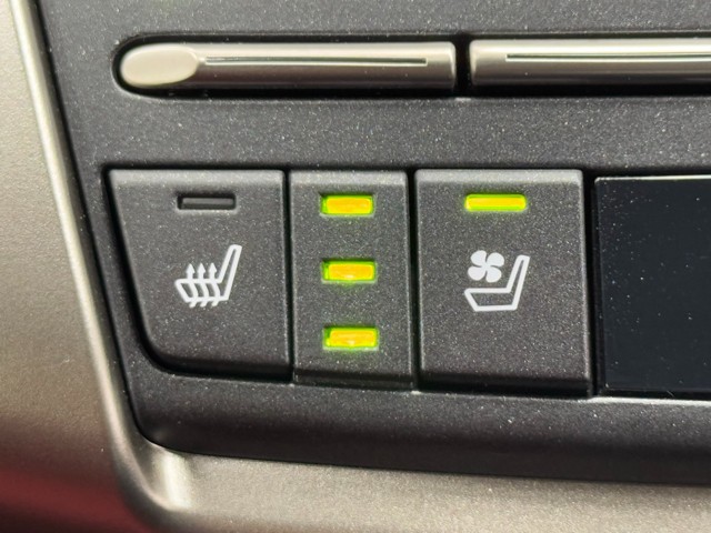 レクサス NX300 F SPORT