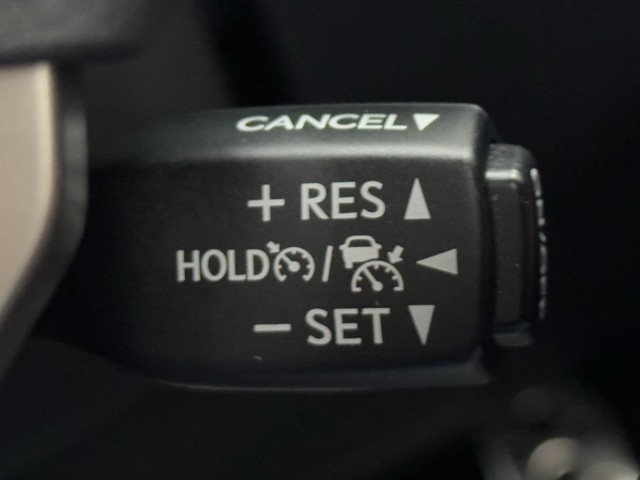 レクサス NX300 F SPORT