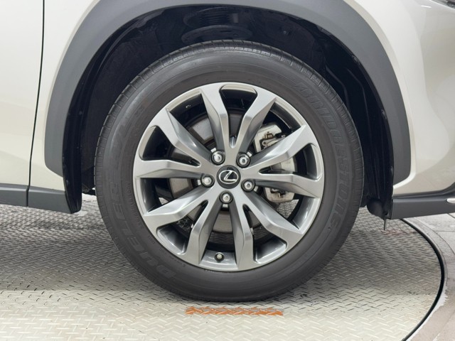 レクサス NX300 F SPORT