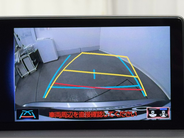 レクサス NX300 F SPORT