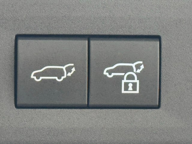 レクサス NX450h+ バージョンL