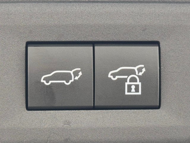 レクサス NX350h F SPORT