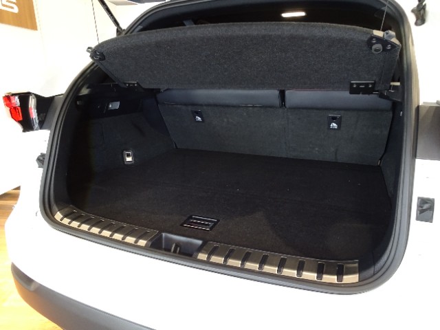 レクサス NX300h FSPORT