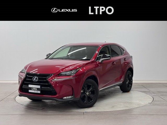 NX300h Urban Style