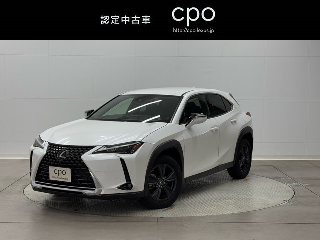 UX250h バージョンC