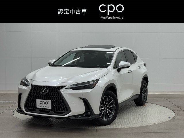 NX350h