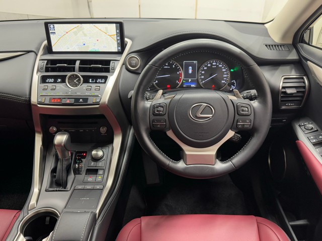 レクサス NX300 I-PKG