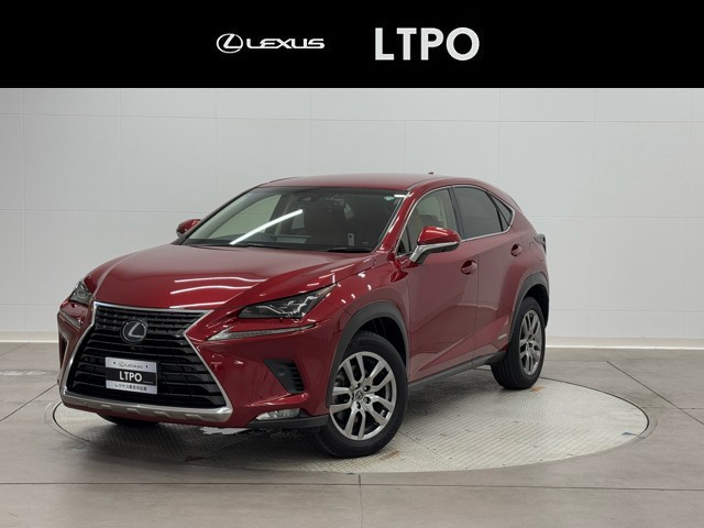 NX300h バージョンL