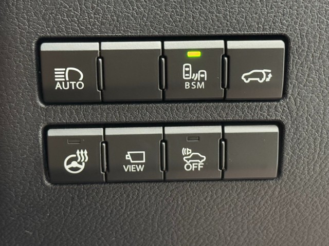 レクサス NX300h バージョンL