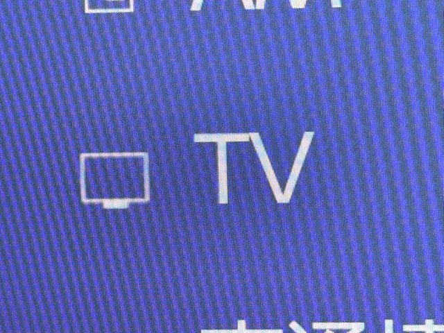 レクサス NX250 バージョンL