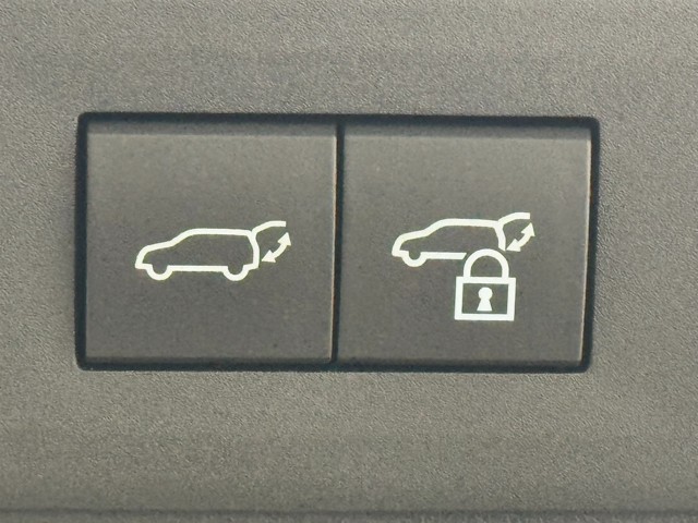 レクサス NX250 バージョンL