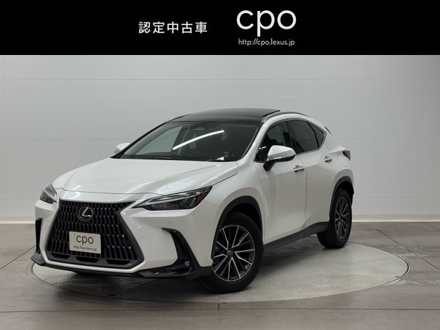 NX350h