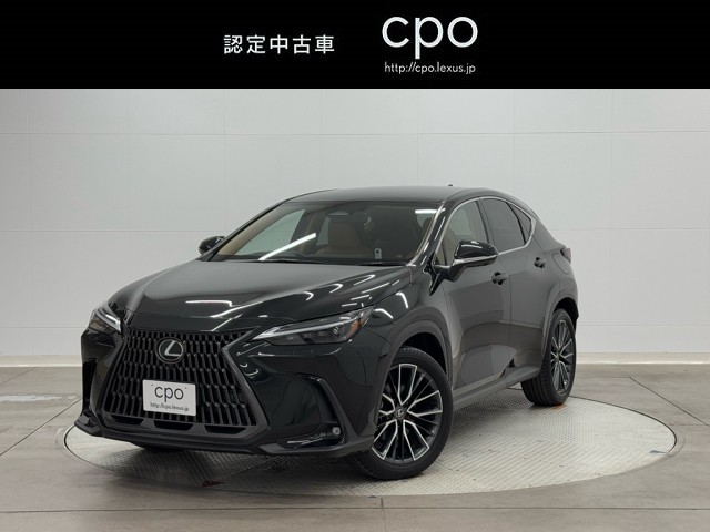 NX250 バージョンL