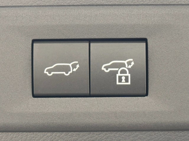 レクサス NX250 バージョンL