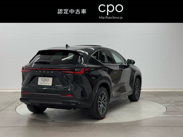 レクサス NX250