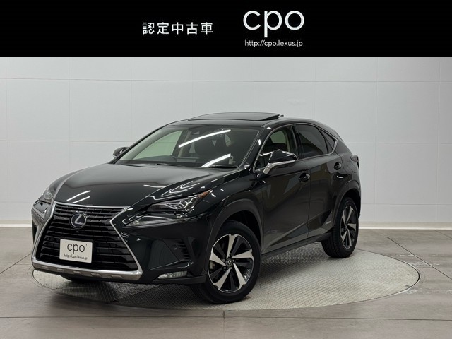 NX300h バージョンL