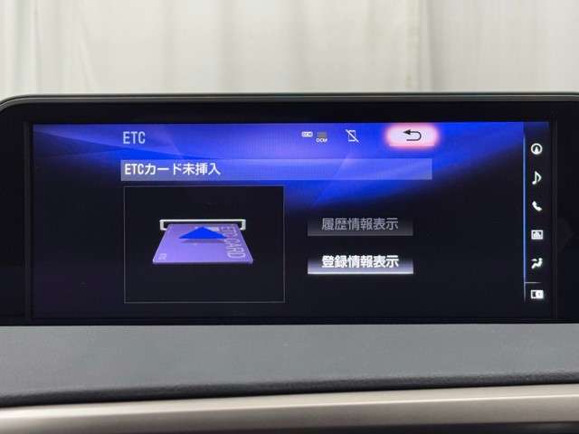 レクサス RX300 Fスポーツ