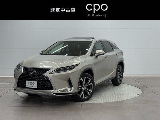 RX300 VER-L