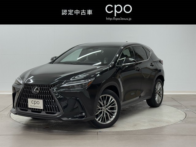NX250 VER-L