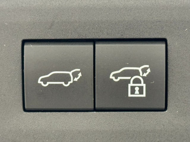 レクサス NX450h+ Fスポーツ