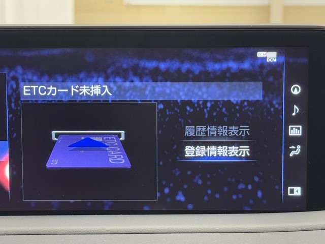 レクサス RX300 Fスポーツ